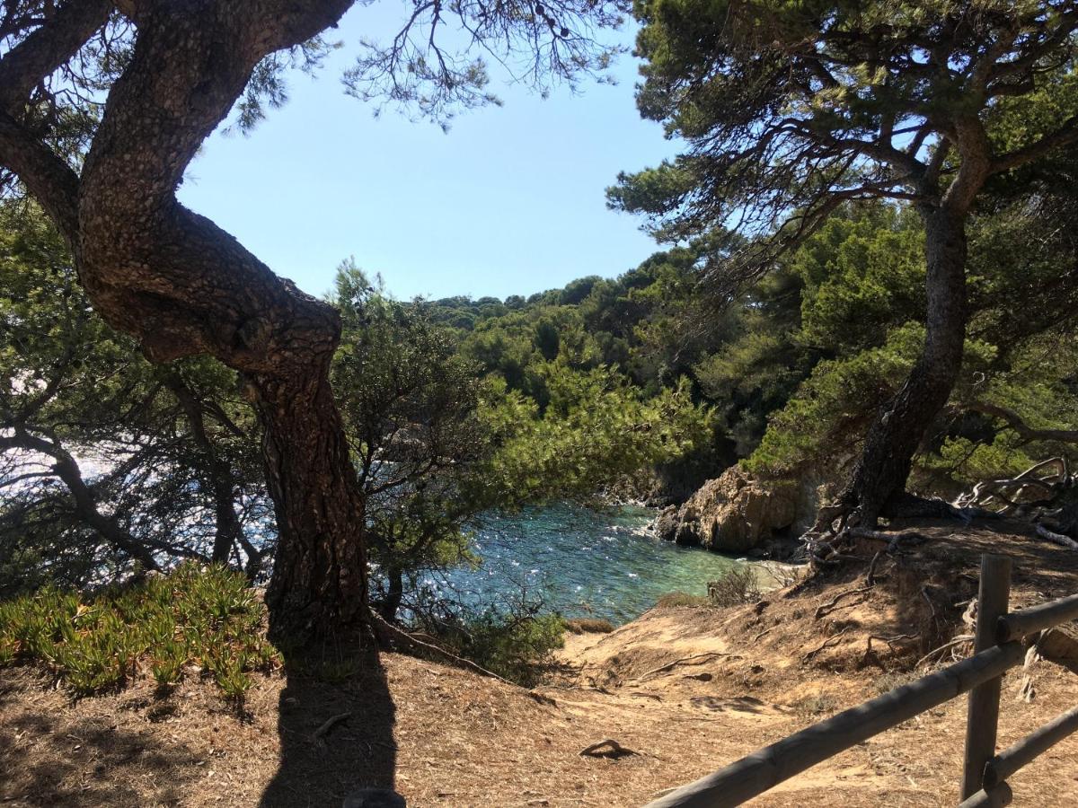 شقة La Provence Authentique A 30 Minutes Des Plages Collobrières المظهر الخارجي الصورة